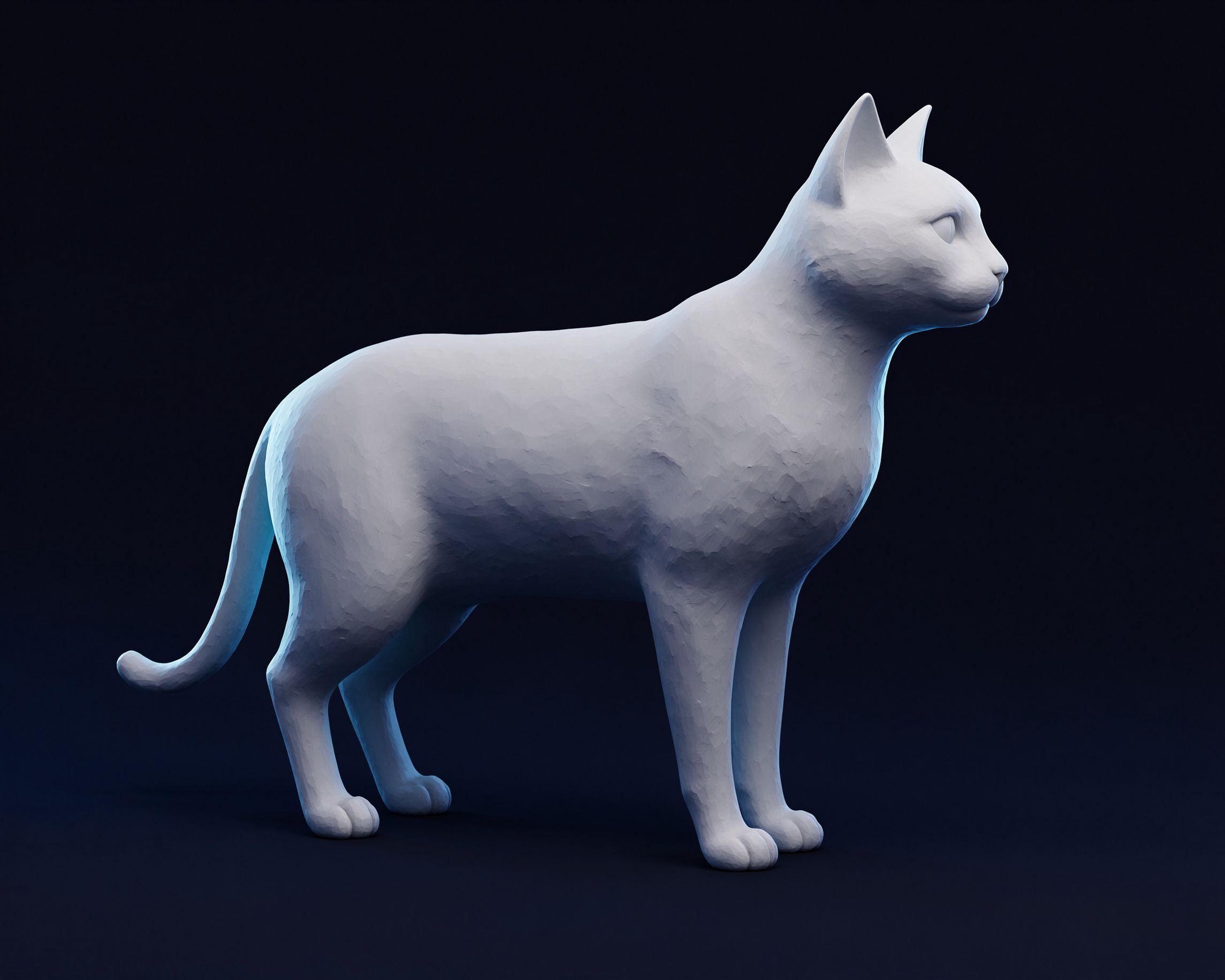 cat