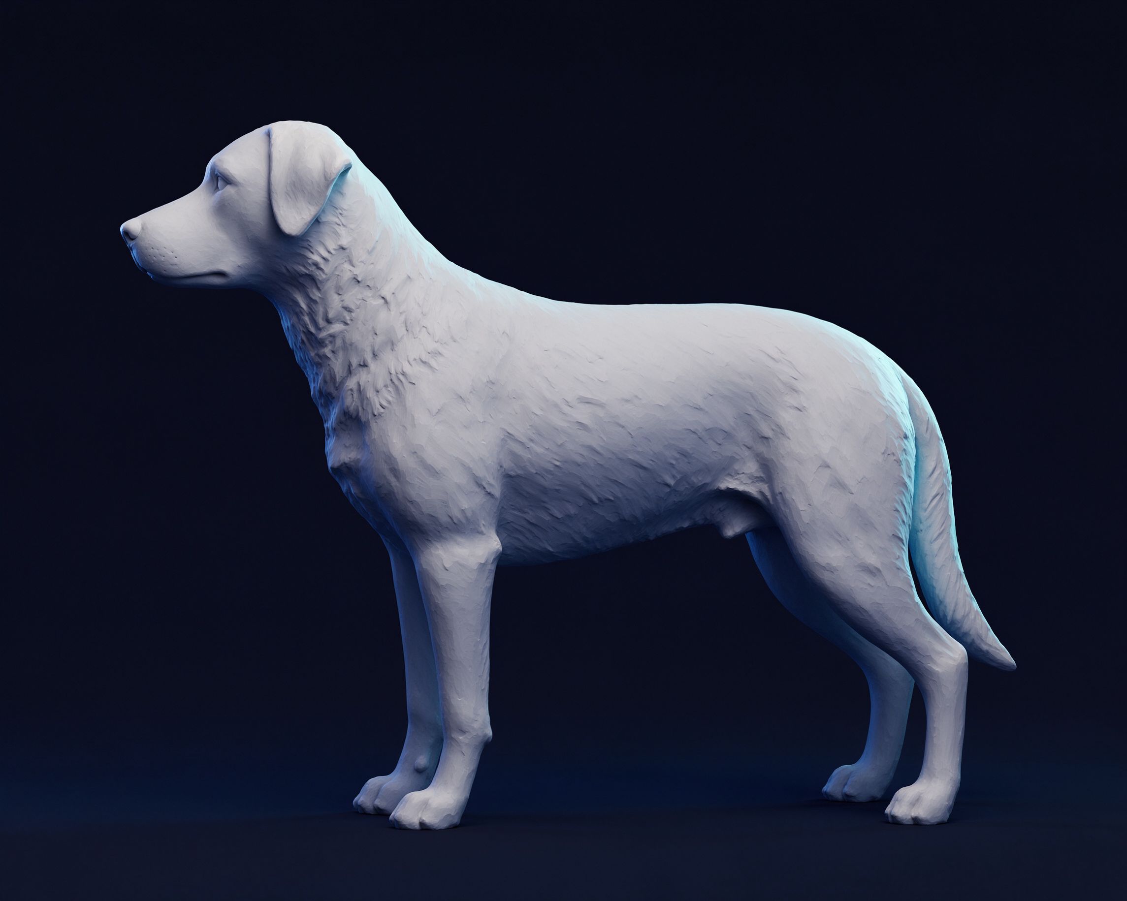 dog